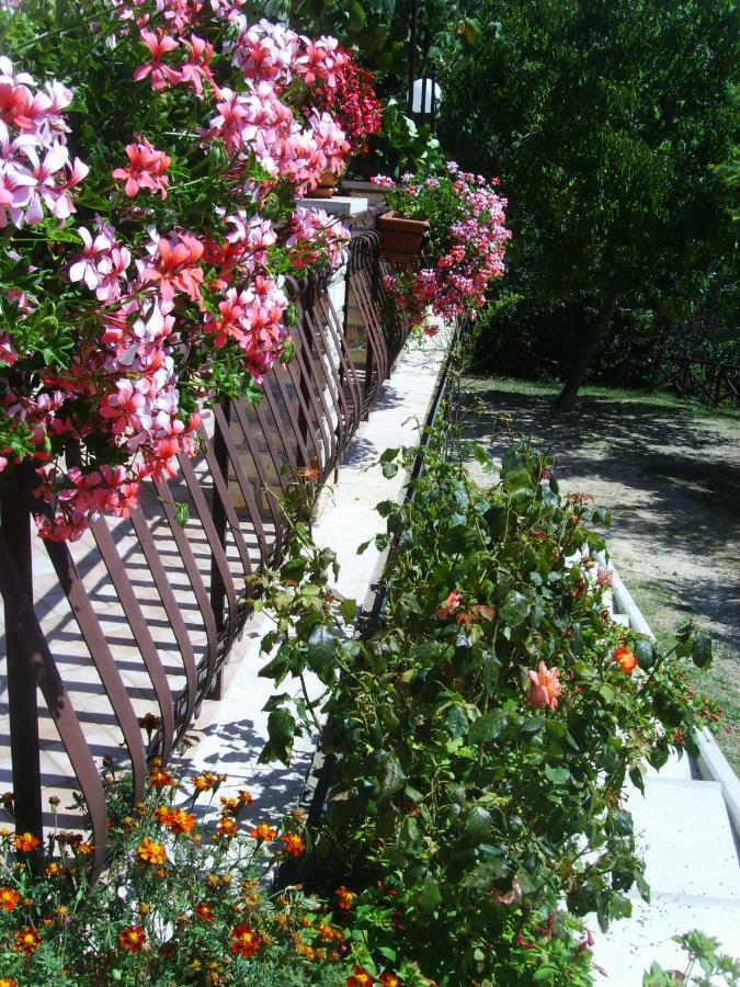 Casa Lieta Bed & Breakfast Subiaco Luaran gambar